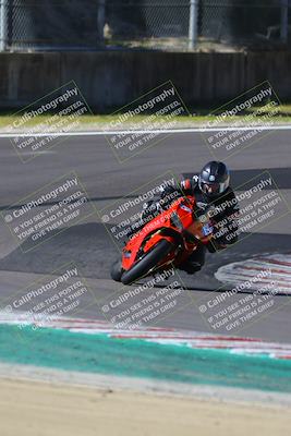 media/Mar-17-2024-Fastrack Riders (Sun) [[c7d6f8c14c]]/Level 2/Turn 6/